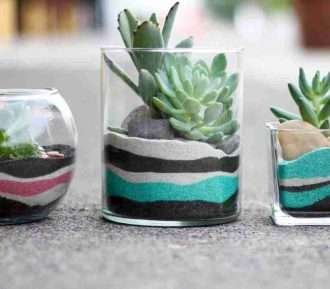 como hacer un terrario