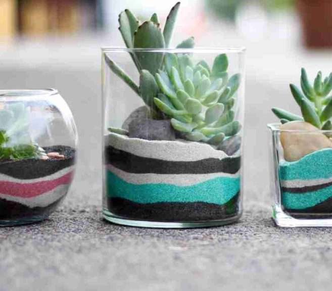 como hacer un terrario