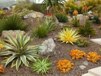 Jardín suculento
