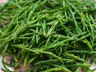 Espárragos de mar: un pequeño milagro verde brillante