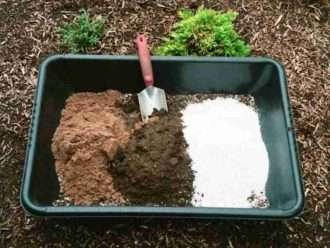 Tierra para macetas casera para plantas suculentas