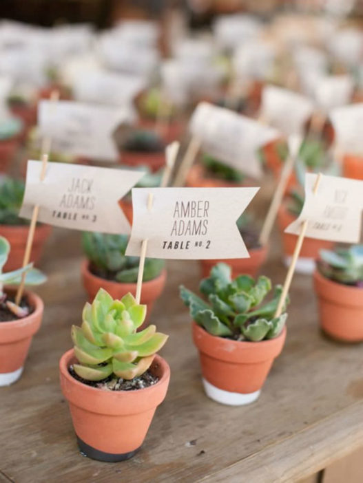 Formas creativas de usar suculentas en su boda